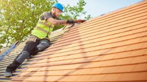 Best Roof Leak Repair  in Edinburg, IL